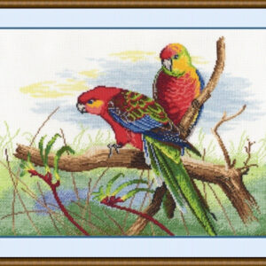 Parrots S509 (D)