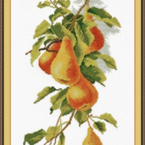 Pears S768 (D)
