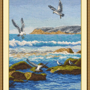 Sea Surf S816 (D)