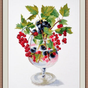 Currant S882