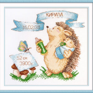 Hedgehog Sampler (boy) S915 (D)