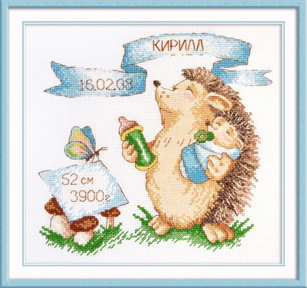 Hedgehog Sampler (boy) S915 (D)