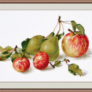 Apples S924 (D)