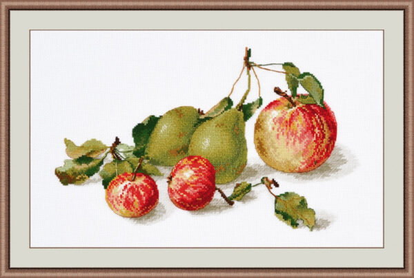 Apples S924 (D)