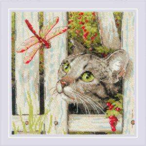 Who are you? 20x20 cm SR2289