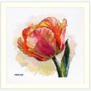Parrot Tulip 21x21 SK248