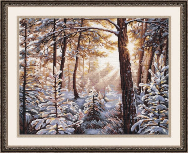 Frost and Sunlight S1166