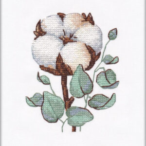 Cotton S1229