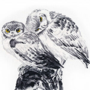 Owls in Love S1272