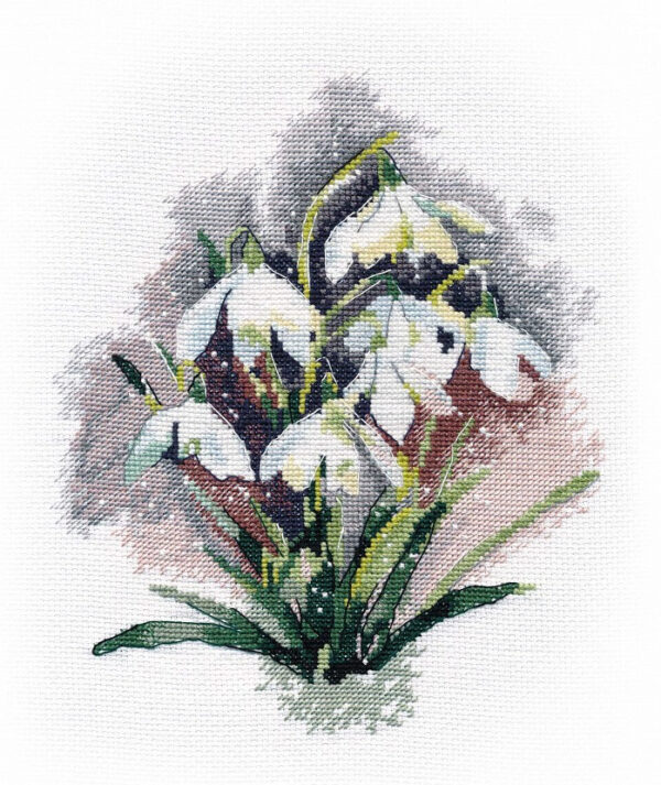 Snowdrops S1292