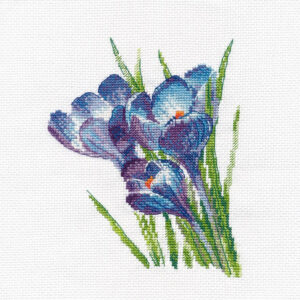 Crocuses S1293