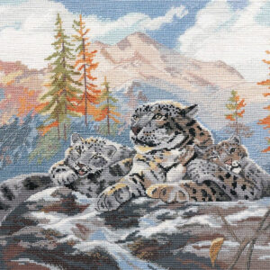 Snow leopard S1342