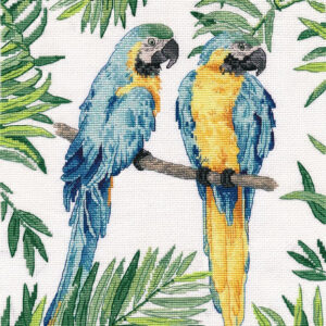 Blue-and-yellow macaw S1348