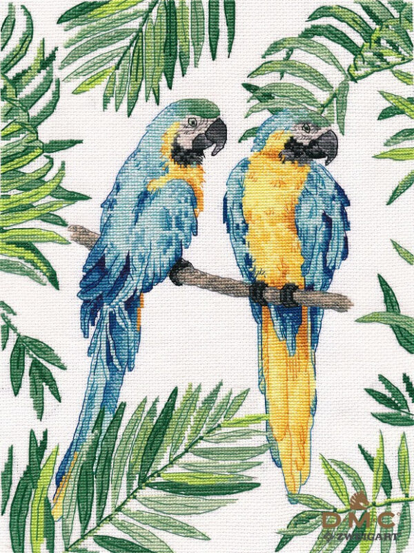 Blue-and-yellow macaw S1348