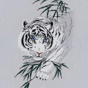 White tiger S1438