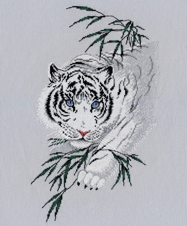 White tiger S1438