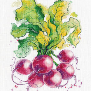 Radish S1481