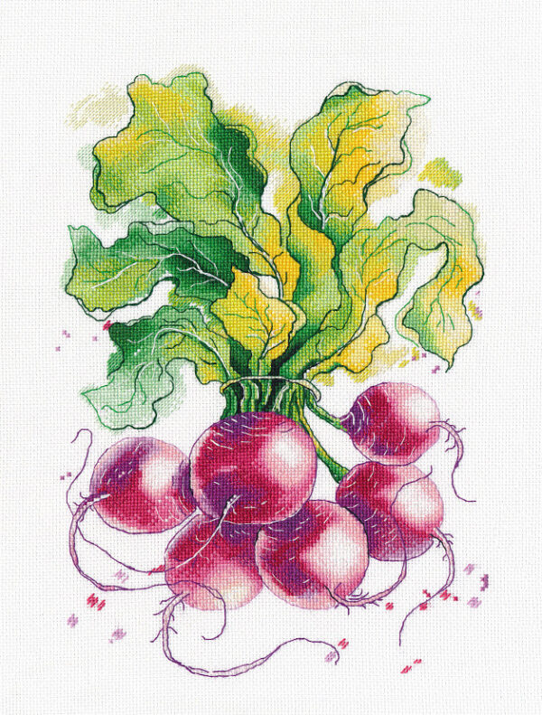 Radish S1481