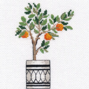 Orange tree S1487