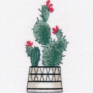Pear cactus S1489