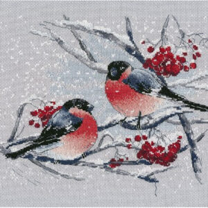 Bullfinches on the mountain ash S1522
