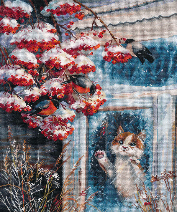 Miracle behind the window S1540