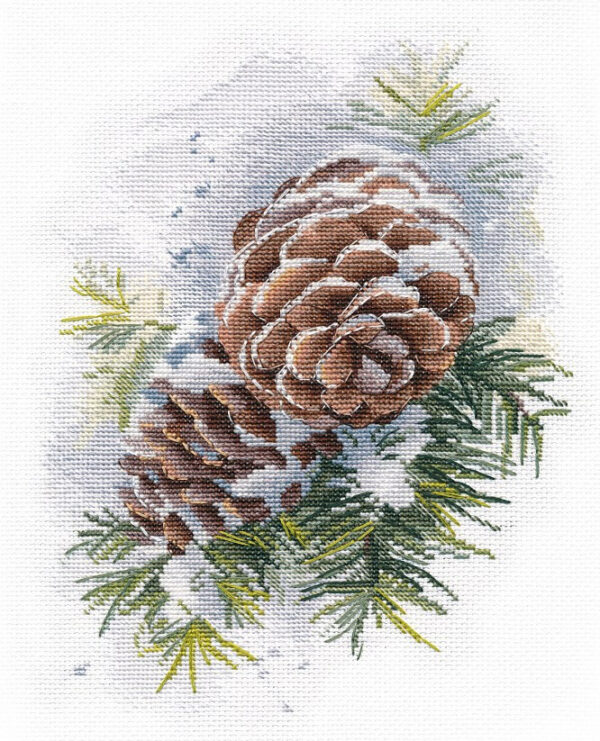 Winter cones S1570