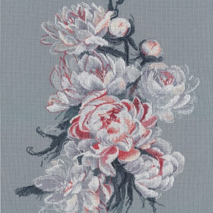 Lacy peonies S1574