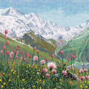 Flowers in the mountains S1575