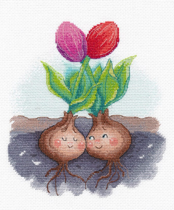 Tulips in love S1594