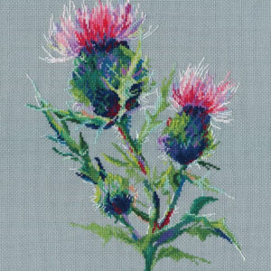 Thistle S1595