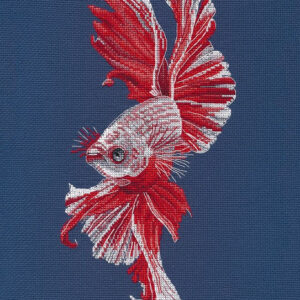 Cockerel Fish S1597