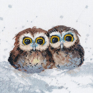 Owl's gatherings 22 × 17 cm S1665