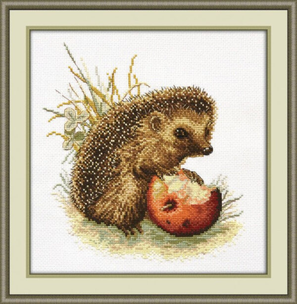 Prickly gourmet S724 (D)