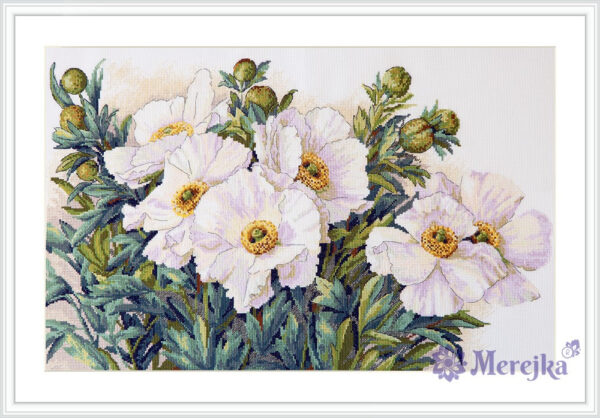 Garden Beauties SK115