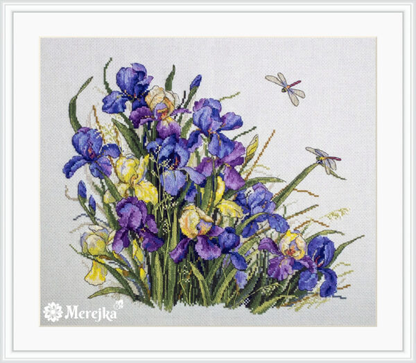 Irises SK122A