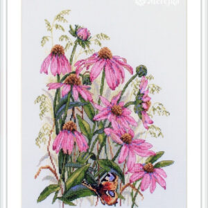 Coneflowers SK124