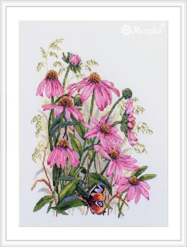 Coneflowers SK124