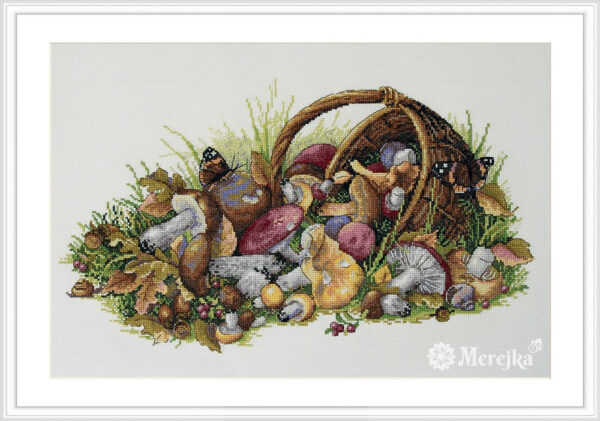 Mushrooms SK127