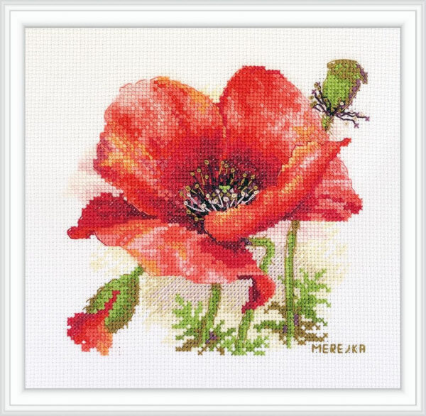 Red Poppy SK187