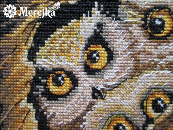 Owls SK32 - Image 2