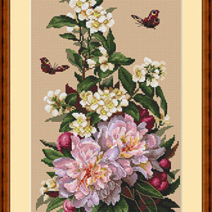 Peonies SK58