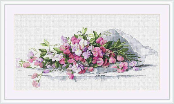 Sweet Pea SK82