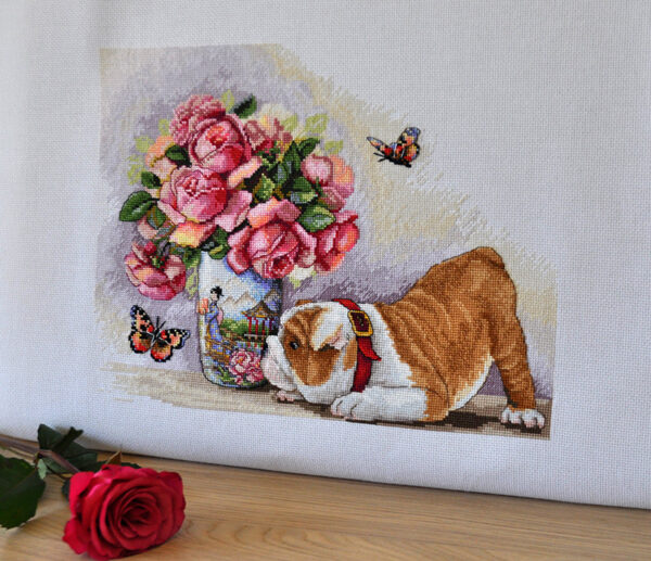 Bulldog & Butterflies SK94