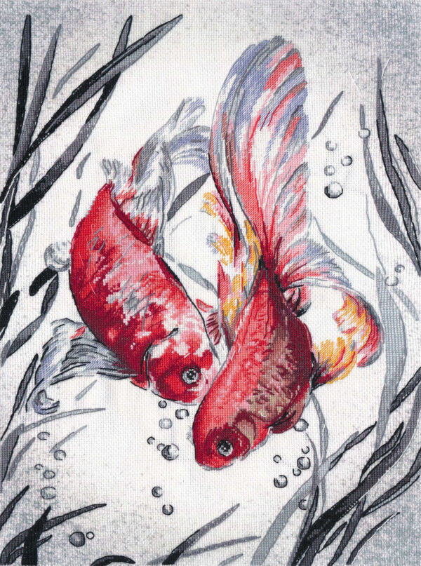 Golden Fishes SPK018 (D)