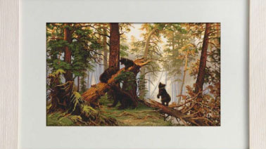 Hommik männimetsas tikkimiskomplekt