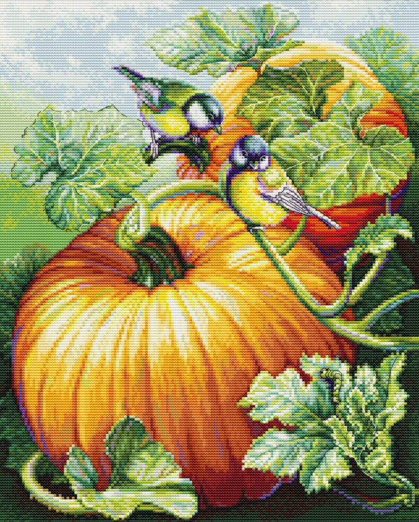 Birdies On Pumpkin 26x32 cm SBU5094