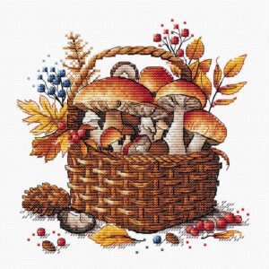 Basket of Autumn Mushrooms -  AVA-P097
