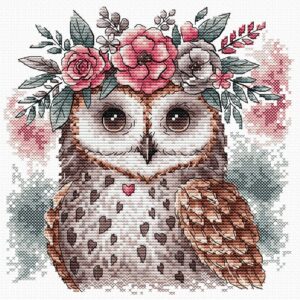 The Owl and his Natural Headband -  AVA-P028